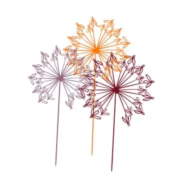 Floral vector stylized design formal composition scandinavian isolated Stock Illustration