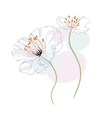 Floral vector stylized design formal composition scandinavian isolated Stock Illustration