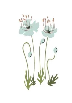 Floral vector stylized design formal composition scandinavian isolated Stock Illustration