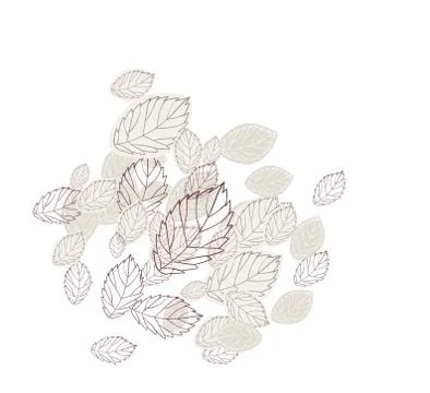 Floral vector stylized design formal composition scandinavian isolated Stock Illustration