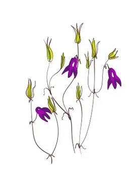 Floral vector stylized design formal composition scandinavian isolated Stock Illustration