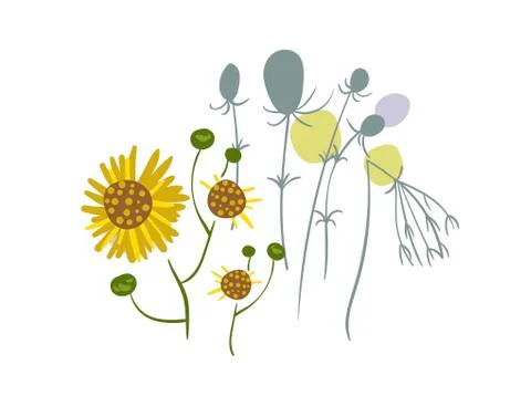 Floral vector stylized design formal composition meadow Stock Illustration