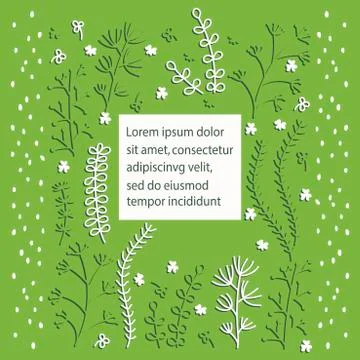 Floral vector template greeting card in a Scandinavian style . Vector Hand dr Stock Illustration