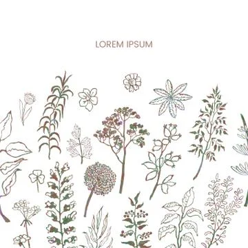 Floral vector template with plants and flowers Stock Illustration
