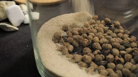 FLORARIUM PRODUCTION Stock Footage 155249449