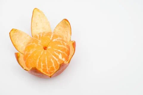 Floreal Stock Photos