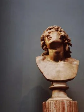 Florence Alexander Фото