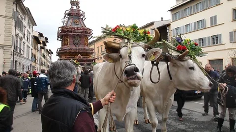 Florence, Easter time, Scoppio del Carro. Stock Footage 113078605