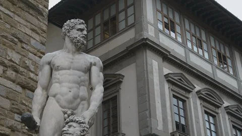 Florence, Ercole and Caco Stock Footage 110985902