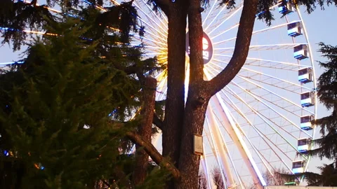 Florence ferris wheel at twilight 库存影片 166891088