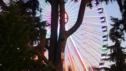 Florence ferris wheel at twilight 库存影片 166891162