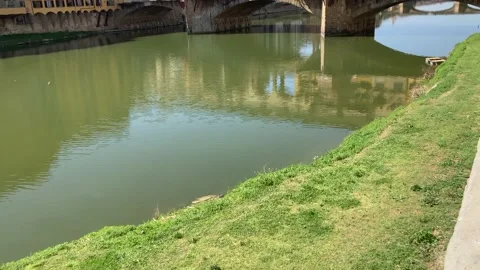 Florence 動画素材 151955945