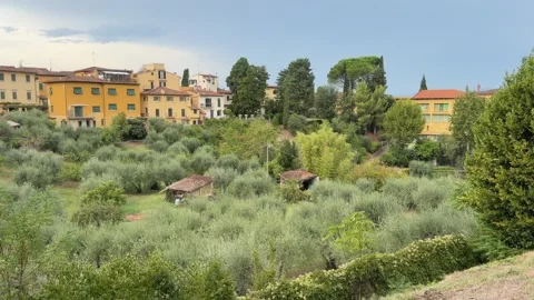 Florence Italy 库存影片 347493425