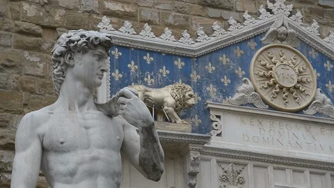 Florence, Michelangelo's David Stock Footage 110988985