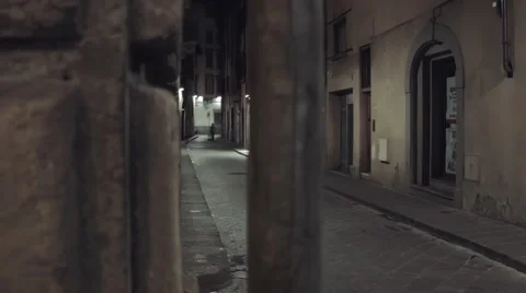 Florence by night (4) Stock Footage 45421080