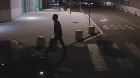 Florence by night (6) Stock Footage 45421083