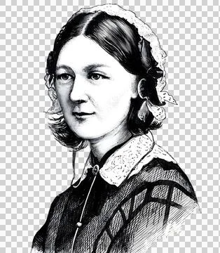 Florence Nightingale-transformed Stock-Illustration