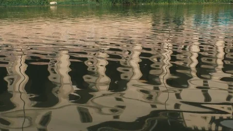 FLORENCE OLD BRIDGE Vidéo 83929538