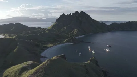 Flores dron horizontal Stock Footage 319437251