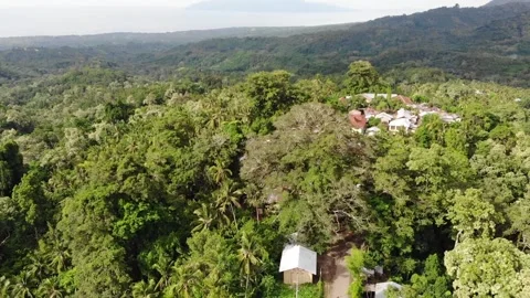 Flores Forest Landscape 01 库存影片 158489141