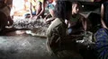 Flores people in a jungle village preparing Cocoa Beans HD Footage
