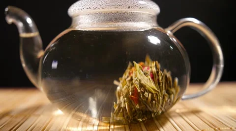 Florescence of Red Blooming Tea Stock-Footage 60923993