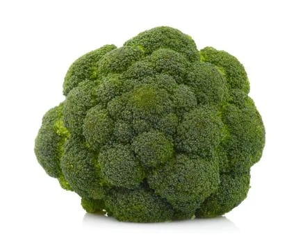 Floret of broccoli isolated on white background Stock Photos