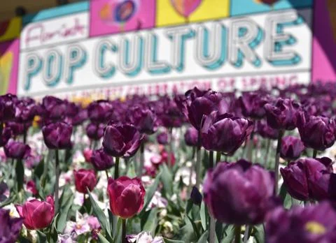 Floriade celebrating the start of spring Foto stock