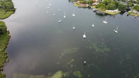 Florida 0030 1 Stock Footage 281678870