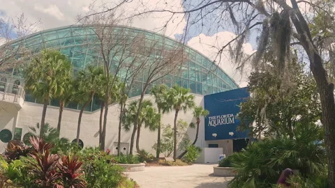 Florida Aquarium 库存影片 201686545