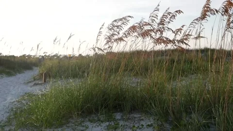 Florida Beach 02 Video stock 148772128