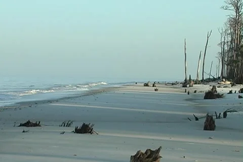 Florida Beach 10 스톡 동영상 1007229