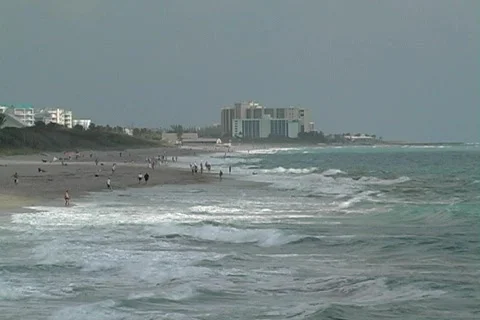 Florida Beach Vídeo Stock 116361