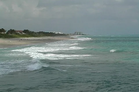 Florida Beach Видео 116362
