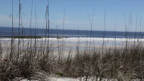 Florida beach Stock Footage 83426292