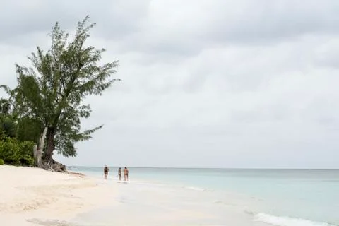 Florida beach landscape Foto stock