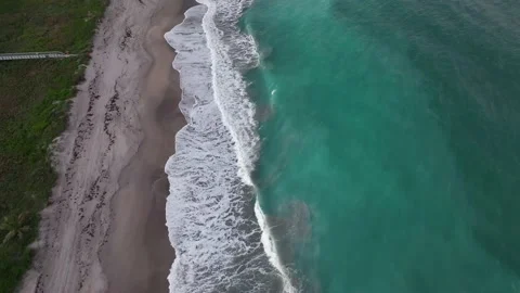 Florida Beach with Osprey Bird - Drone 4k Stock Footage 170796855