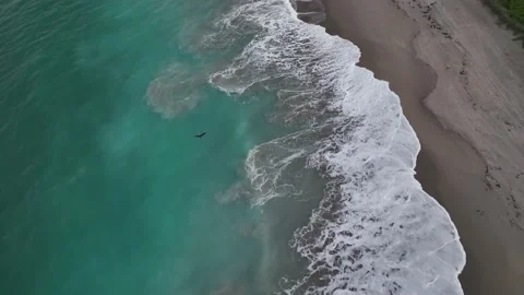 Florida Beach with Osprey Bird- Drone 4k Stock Footage 170797870
