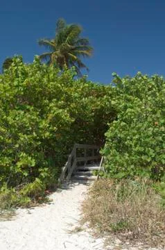 Florida beach Stock Photos