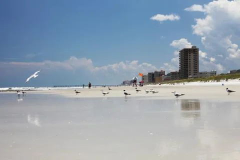 Florida beach Stock Photos