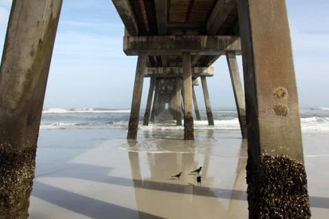 Florida beach Stock Photos