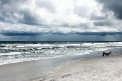 Florida beach Stock Photos