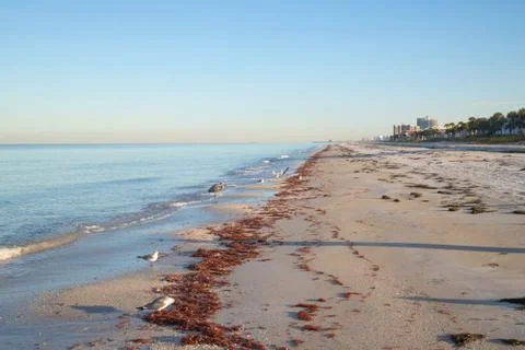 Florida beach Stock-Fotos