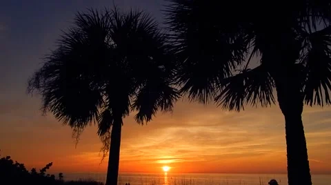 Florida beach sunset Vídeos de archivo 45520315