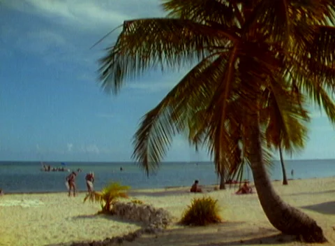 Florida beachgoers sunbathing + Stock Footage 235723927
