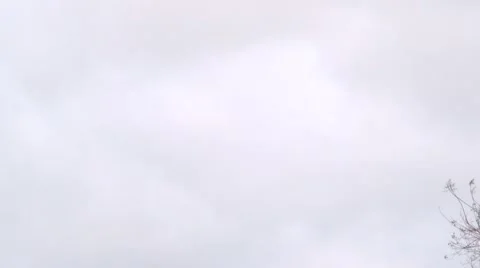 Florida Capitol Building pan down Stock Footage 41455392