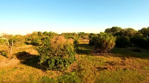 Florida Chooper Shoot 스톡 동영상 47198750