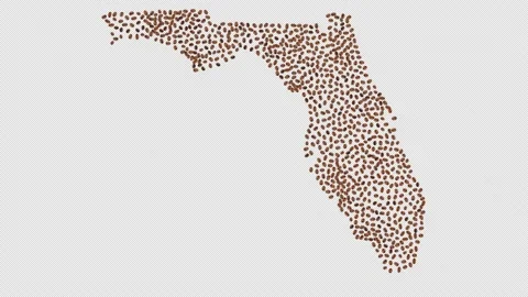 Florida Coffee Beans Video stock 147517297