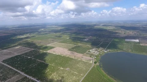 Florida Country Side Video stock 108471836