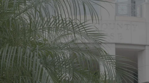 Florida Court Stock Footage 126604808